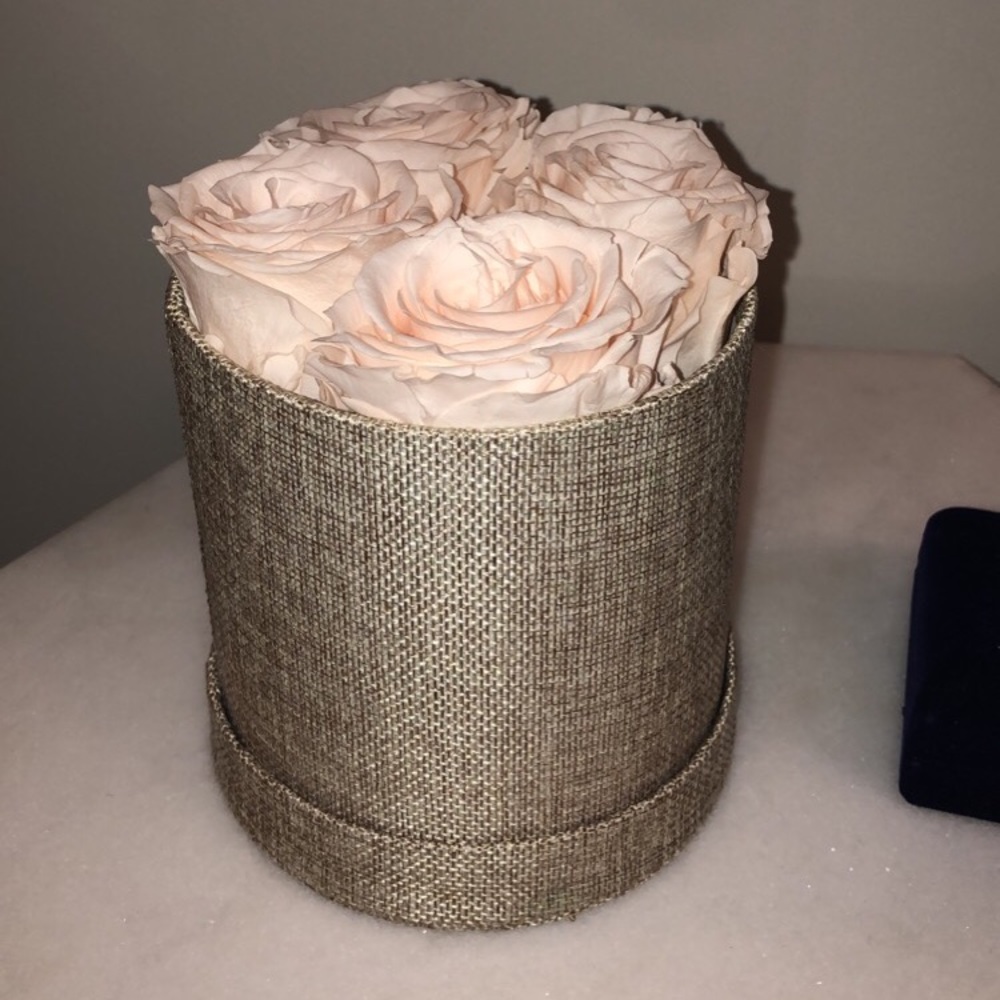 FOREVER ROSES